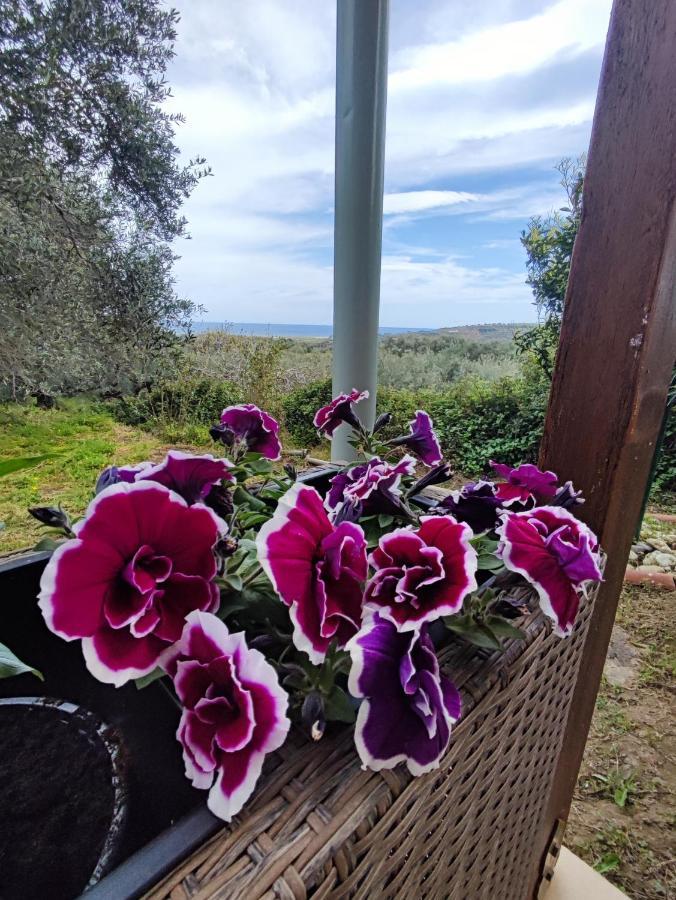 Anatolika Stamatis Paradise Dempla Exterior photo